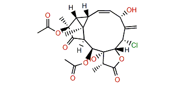 Erythrolide V